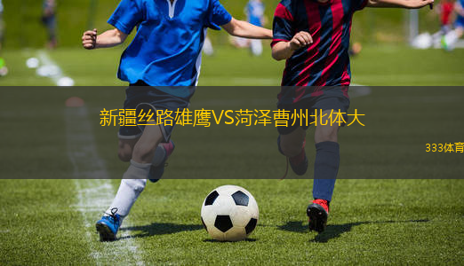 新疆丝路雄鹰VS菏泽曹州北体大